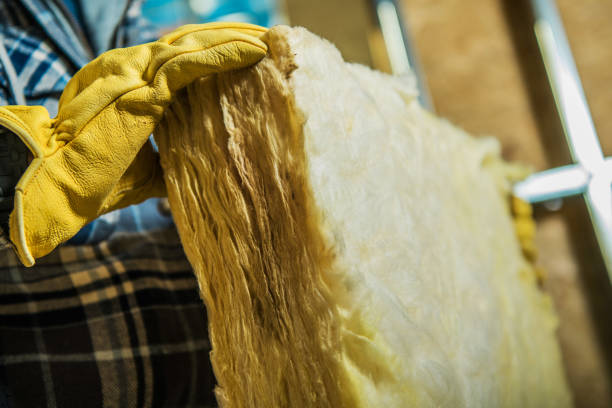 Best Cellulose Insulation in Winterville, GA
