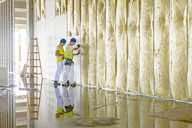 Best Insulation Maintenance and Repair in Winterville, GA